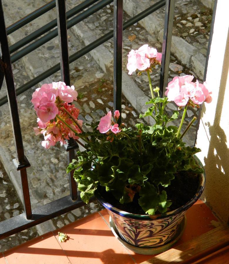 Escapadas Romanticas En Granada Jacuzzi Exteriör bild